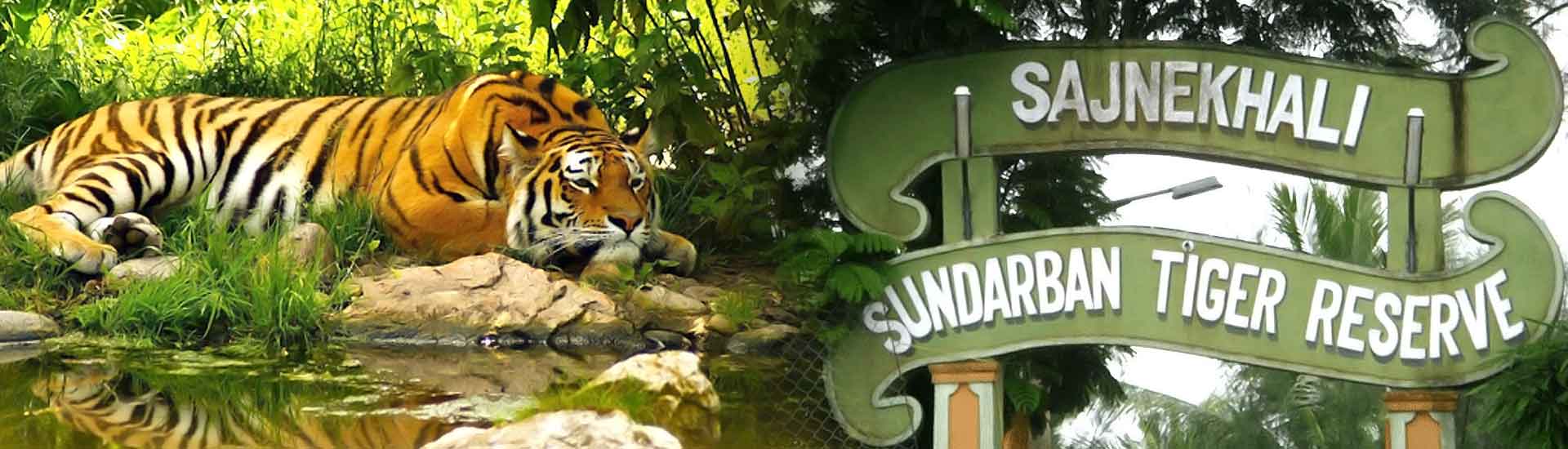 Unveiling the Hidden Gems in Sundarban National Park