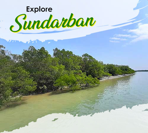 1 Day Sundarban Tour