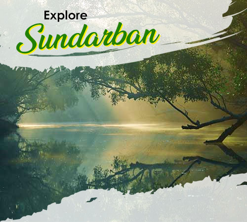 Standard Sundarban 2 Night 3 Days